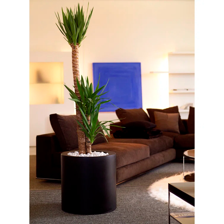 Plastic Pot Planter