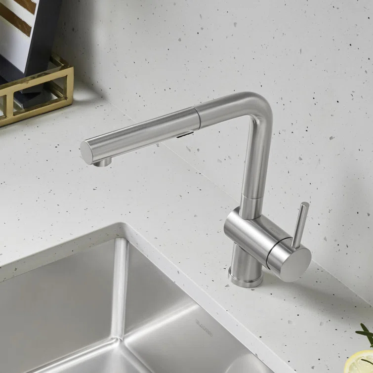 Linus Pull Out Dual Spray Kitchen Faucet