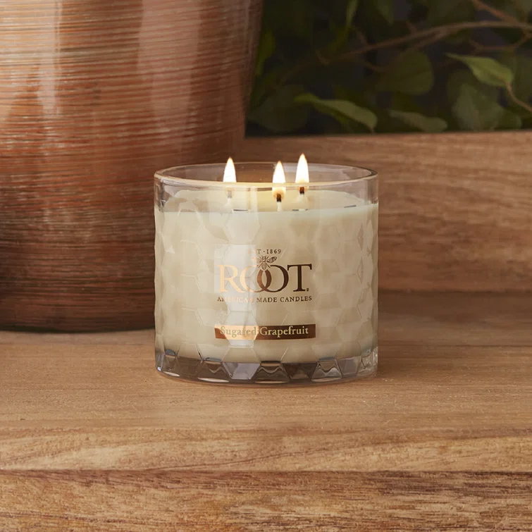 Root Candles Sugared Grapefruit Scented Jar Candle
