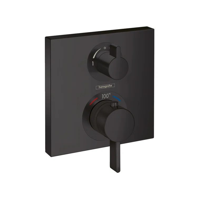 Ecostat Thermostatic Shower Faucet Trim
