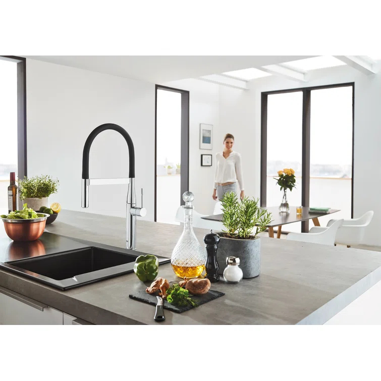 Essence New Single Handle Kitchen Faucet with SilkMove® and with Accessories