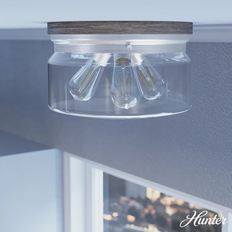 Hunter Devon Park Onyx Bengal And Barnwood 3 Light Flush Mount Ceiling Light Fixture