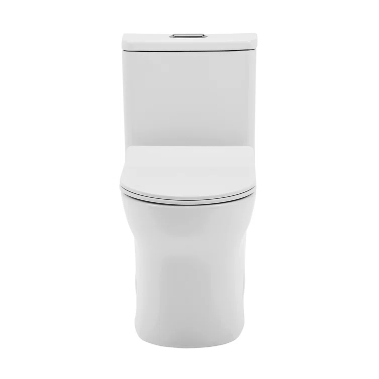 Burdon One-Piece Toilet Vortex Dual-Flush 1.1/1.6 gpf