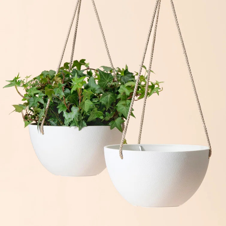 Boxdale Hanging Planter - Set of 2 (Set of 2)
