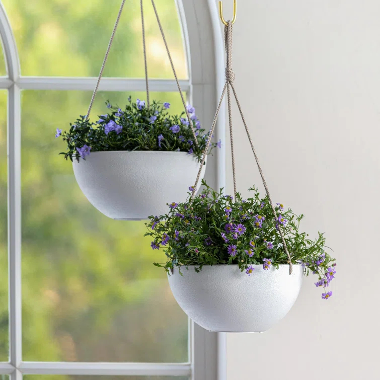 Boxdale Hanging Planter - Set of 2 (Set of 2)