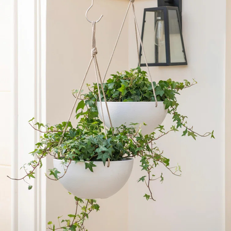 Boxdale Hanging Planter - Set of 2 (Set of 2)