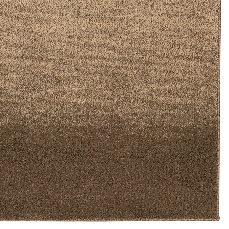 Ombre Rug