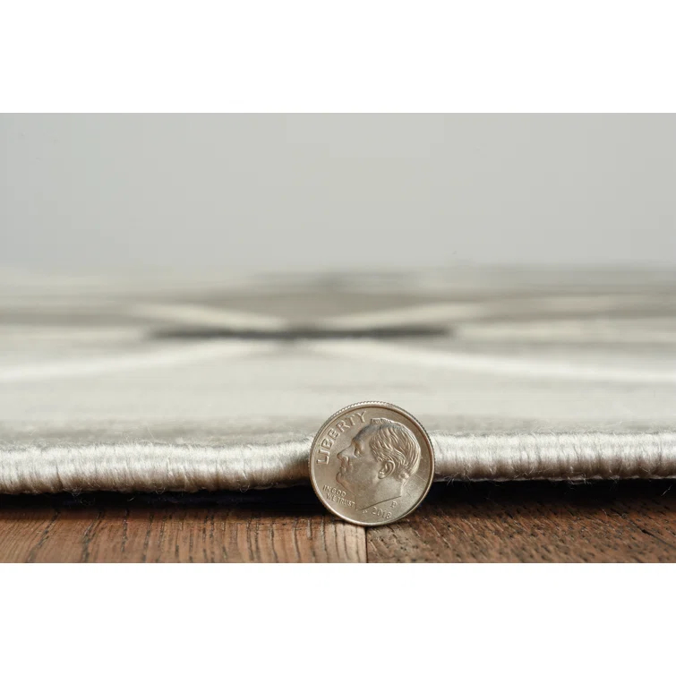 Ombre Rug