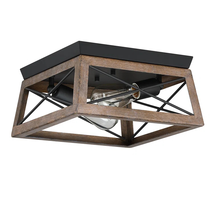 2-Light Finished Cage Classic Modern Dimmable Flush Mount Light