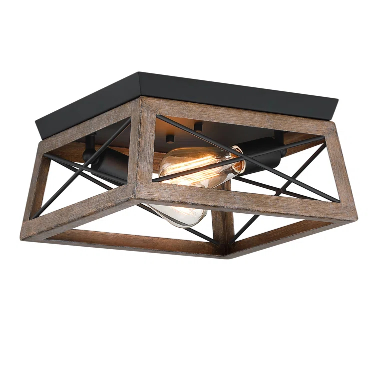 2-Light Finished Cage Classic Modern Dimmable Flush Mount Light