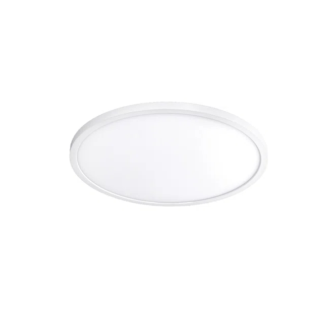 Simple Circle Dimmable LED Flush Mount Light