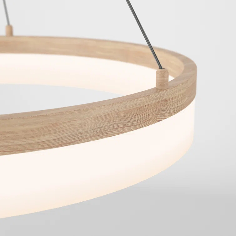 1 - Light LED Unique/Statement Pendant