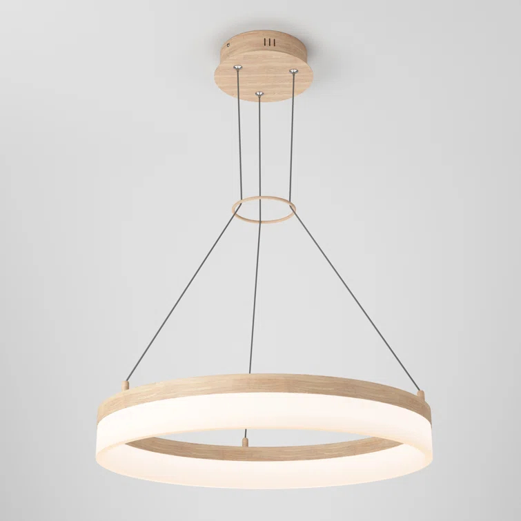 1 - Light LED Unique/Statement Pendant