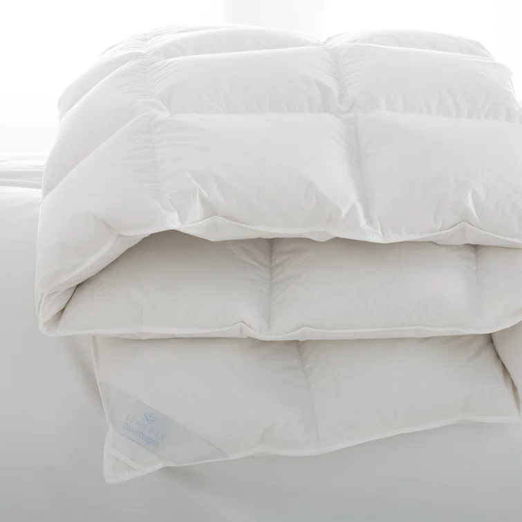 Scandia Home Copenhagen Medium Down Comforter | Wayfair