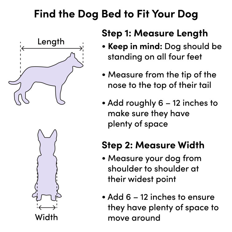 The Casper Dog Bed