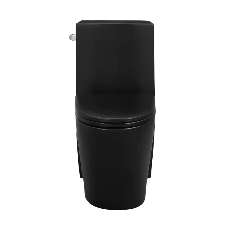 St. Tropez One Piece Elongated Toilet Dual Vortex Flush 1.6 GPF