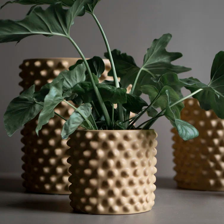 Cloudy Ceramic Pot Planter