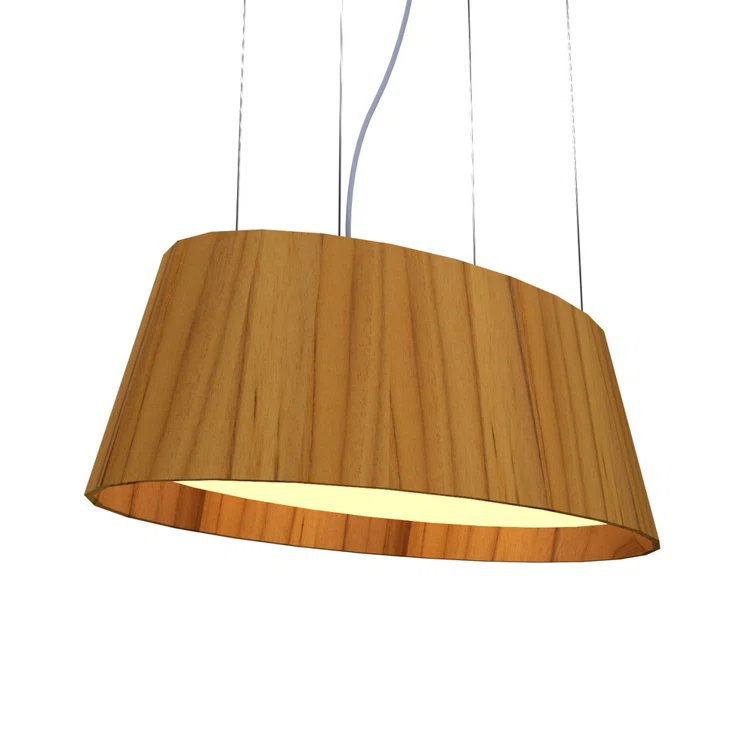 1 - Light LED Unique/Statement Pendant