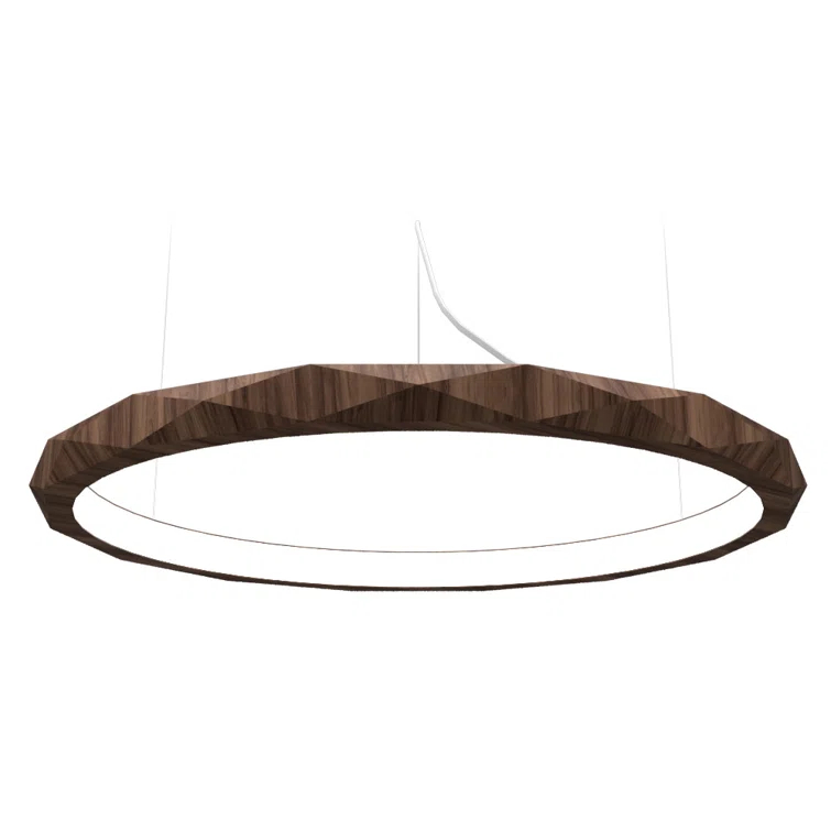 1 - Light LED Unique/Statement Pendant