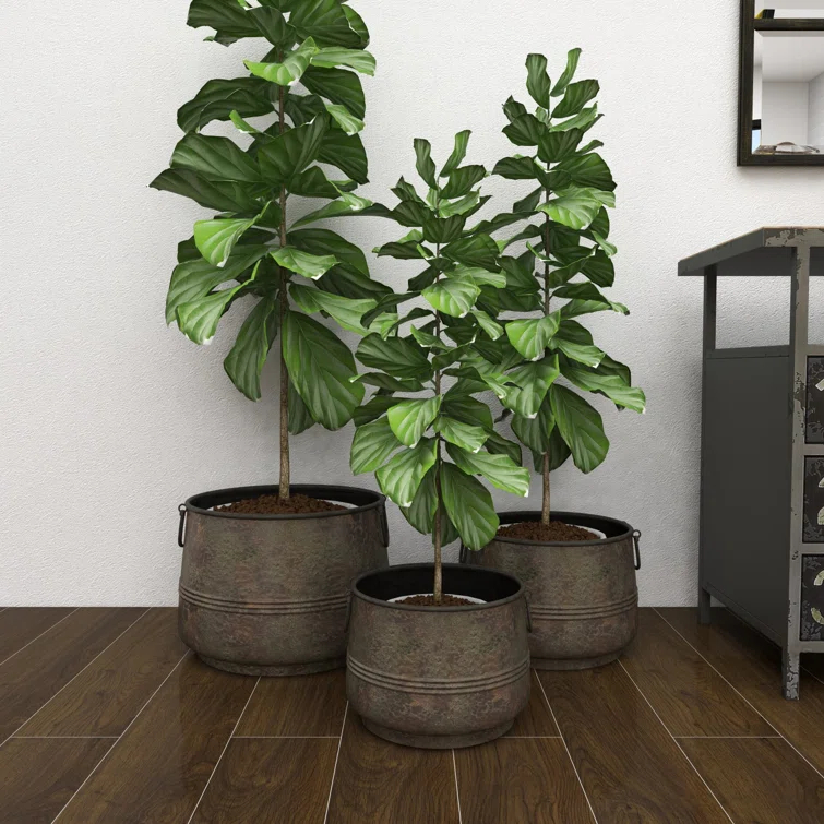 Gracie Oaks Cowden 3 Piece Metal Distressed Bucket Style Indoor Outdoor Bronze Planter with Side Ring Handles Set