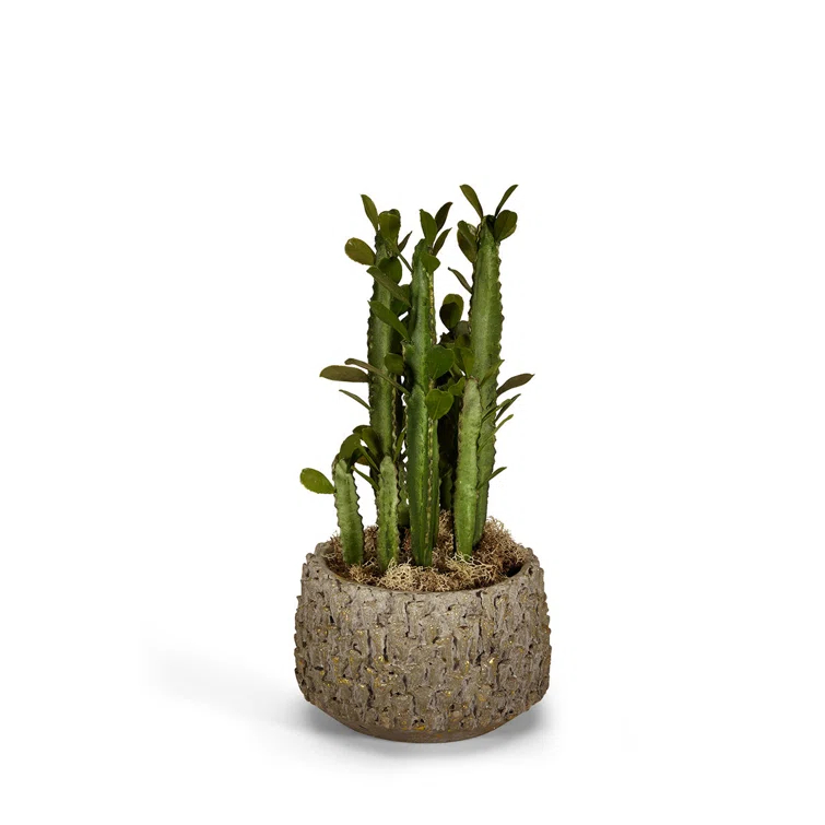 T&C Floral Company 17'' Faux Cactus Plant in Clay Pot