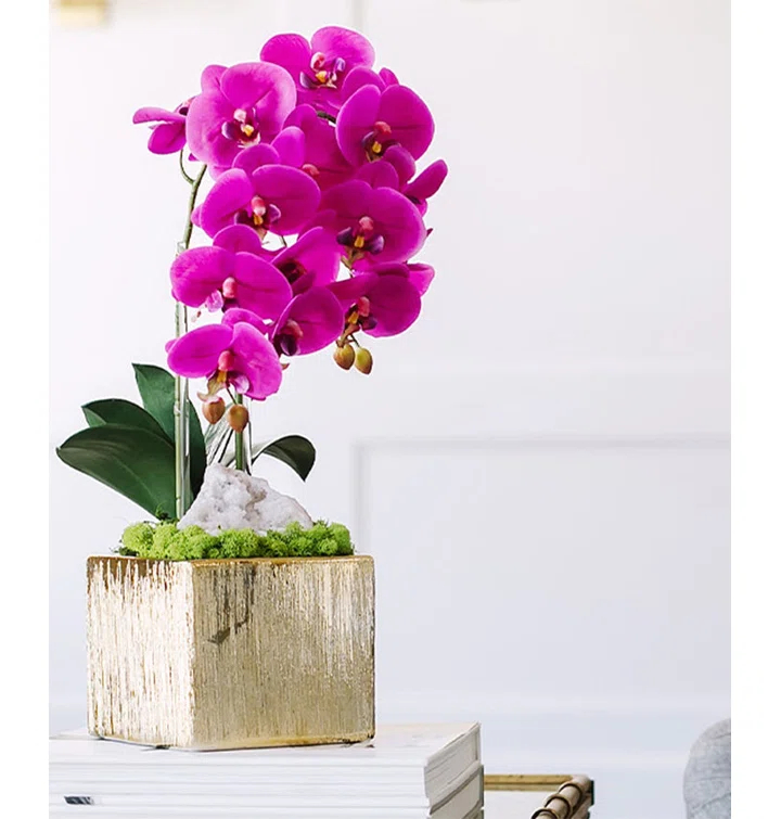 T&C Floral Company Orchid Arrangement in Planter