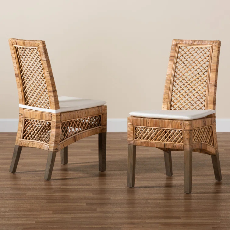 Bayou Breeze Argos Modern Bohemian Rattan Dining Chair (Set of 2)