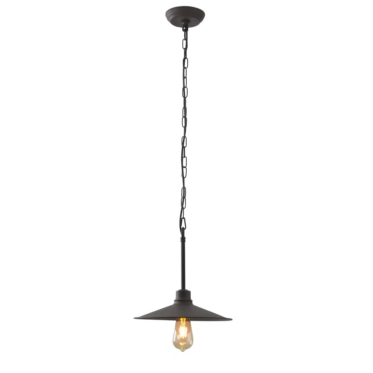 Varaluz 1 - Light Single Pendant