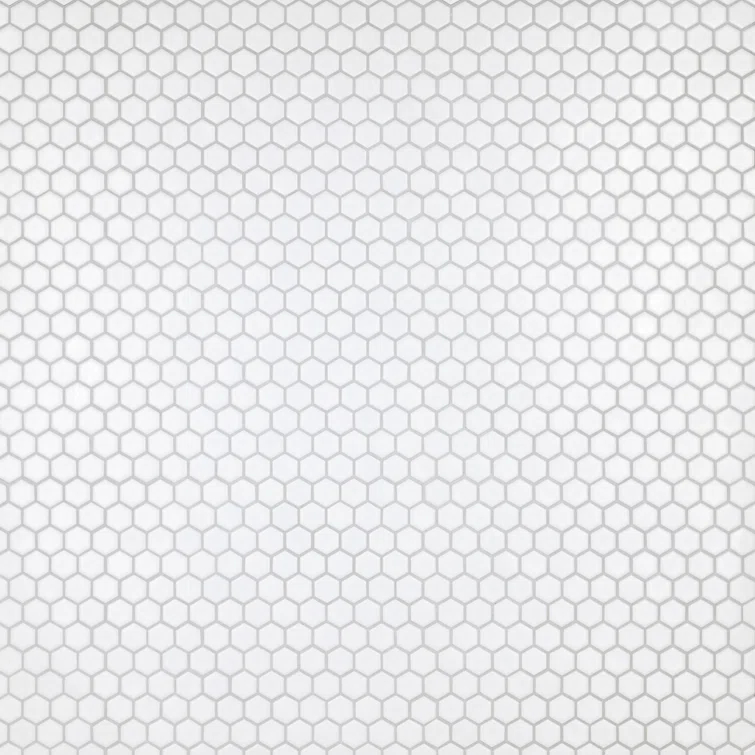 Hudson 1" Hex 11-7/8 " x 13-1/4 " Porcelain Mosaic Floor and Wall Tile