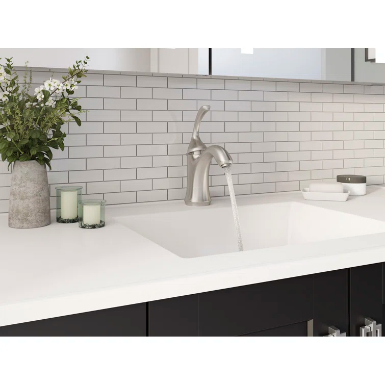 Forté Single-Handle Bathroom Sink Faucet with Drain Assembly and Escutcheon Plate, 1.2 GPM