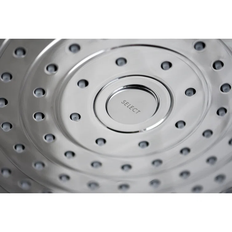 Raindance Select S 240 Showerhead in Chrome