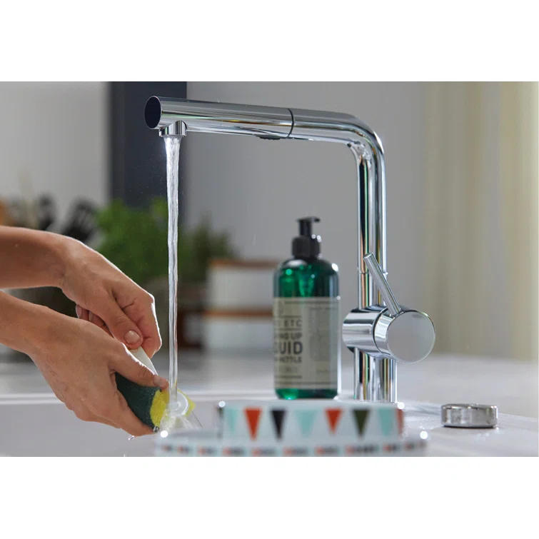 Linus Pull Out Dual Spray Kitchen Faucet