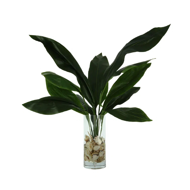 Green Faux Aspidistra Plant in Clear Glass Vase with Shells
