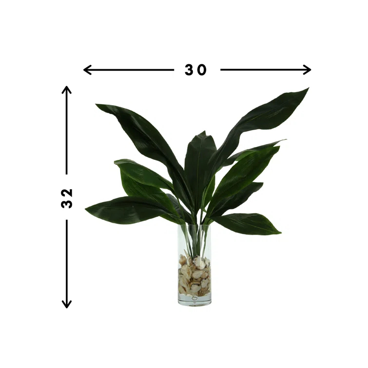 Green Faux Aspidistra Plant in Clear Glass Vase with Shells