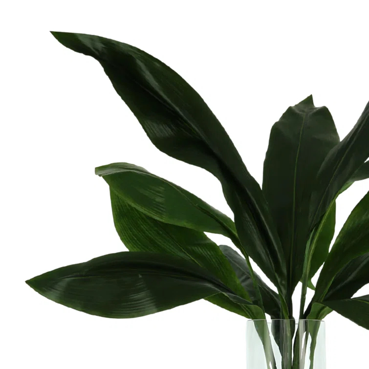 Green Faux Aspidistra Plant in Clear Glass Vase with Shells