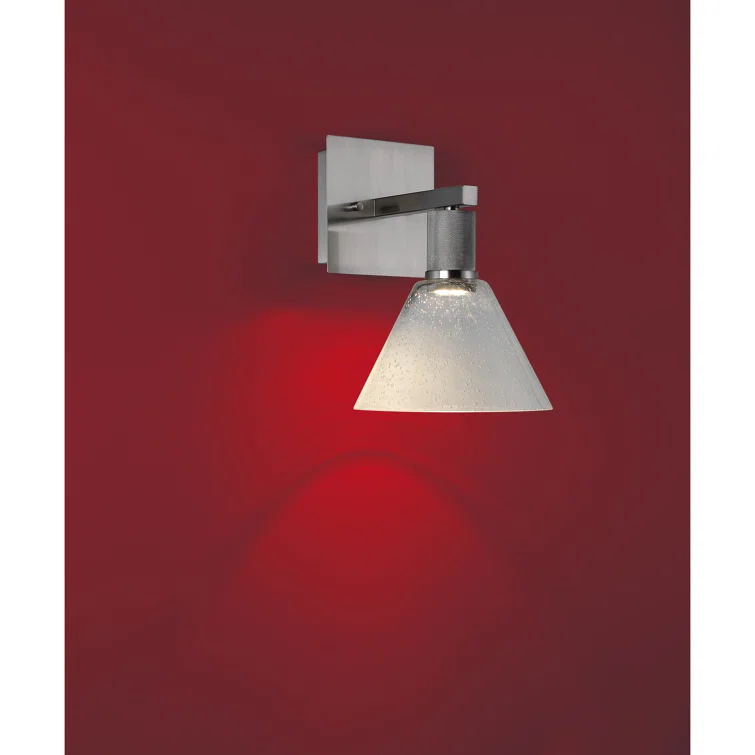 Southglenn Steel LED Armed Sconce