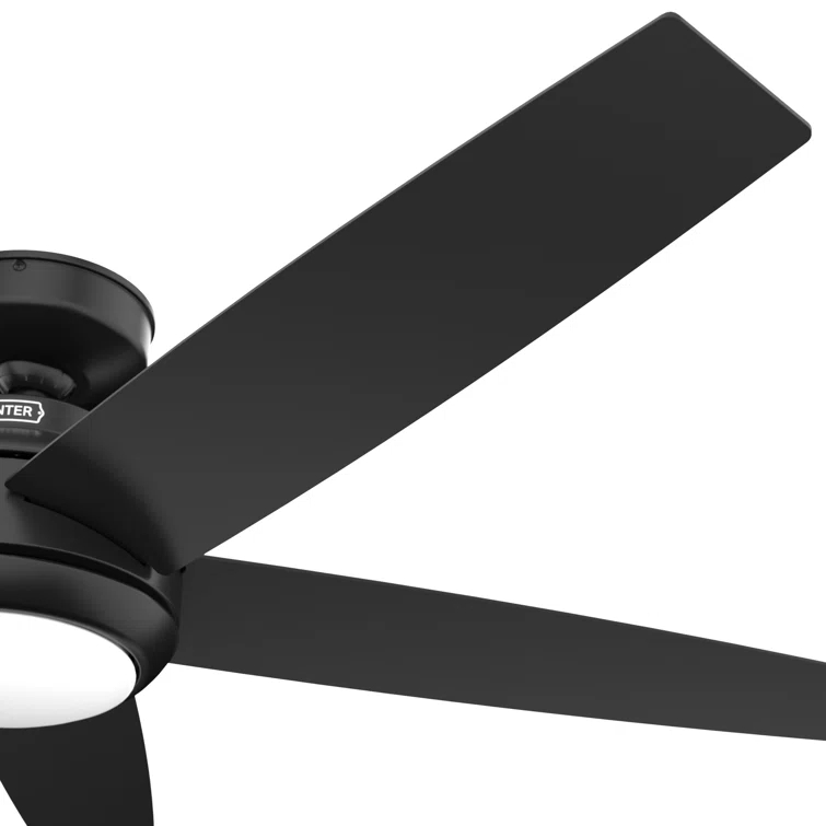 52" Zayden 5 - Blade Ceiling Fan With Lights and Remote