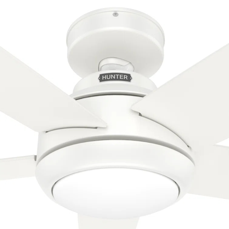52" Zayden 5 - Blade Ceiling Fan With Lights and Remote