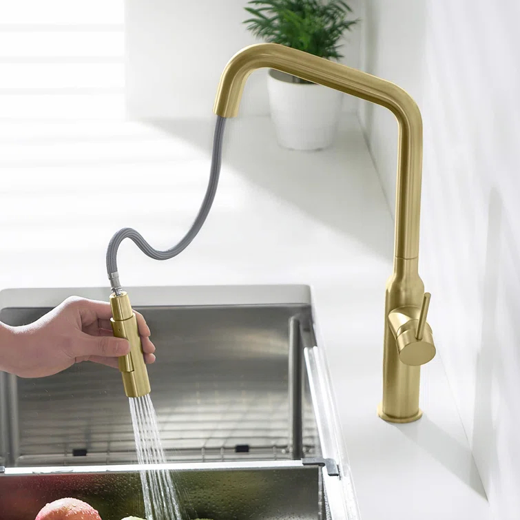 Macon Pull Down Single Handle Kitchen Faucet with Accessories