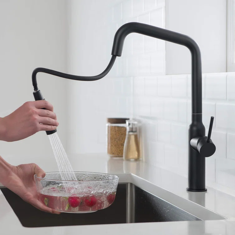 Macon Pull Down Single Handle Kitchen Faucet with Accessories