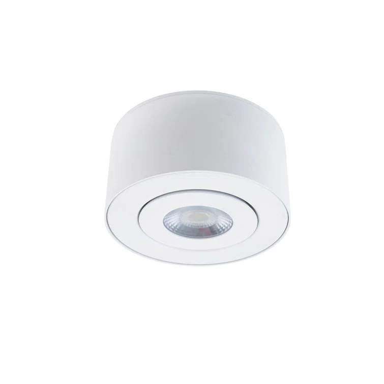 Peek LED Flush Mount