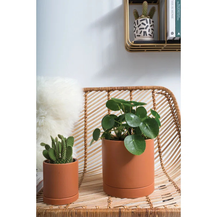 Carlotta Ceramic Pot Planter