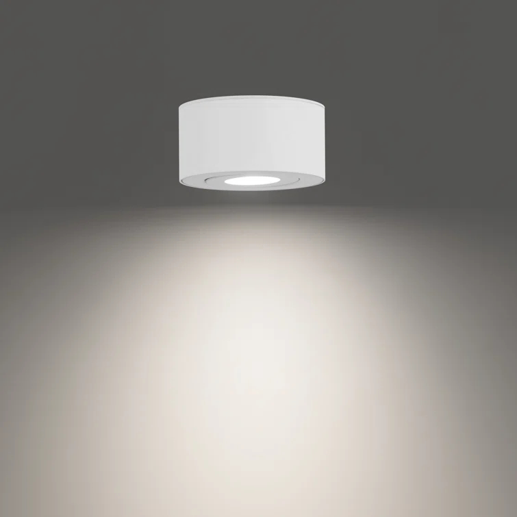 Peek LED Flush Mount