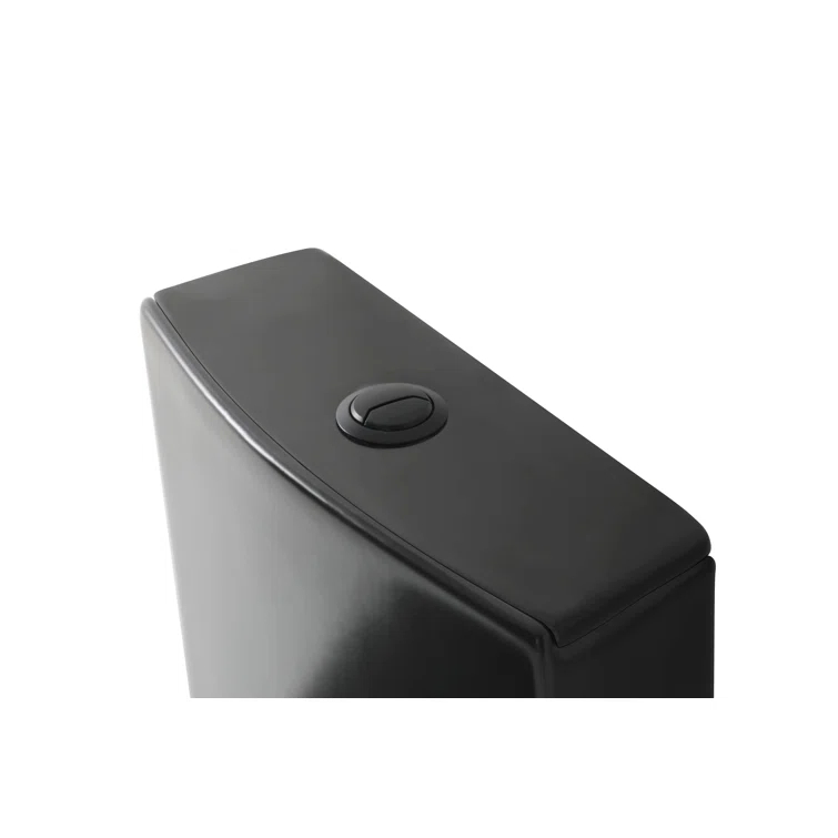 Dual-Flush Elongated One-Piece Toilet with High Efficiency Flush