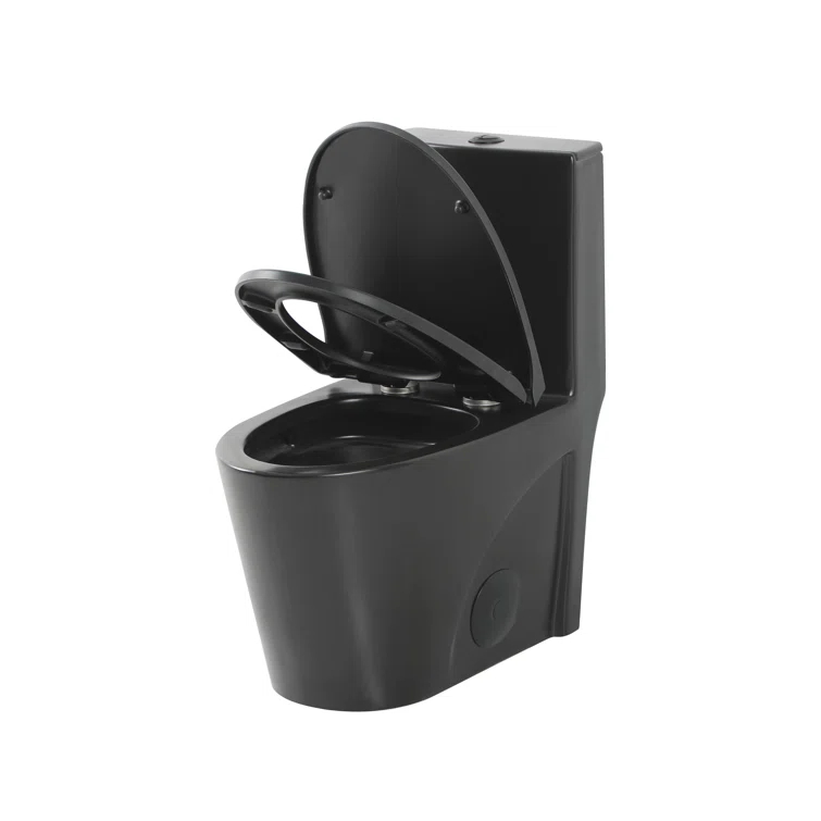 Dual-Flush Elongated One-Piece Toilet with High Efficiency Flush