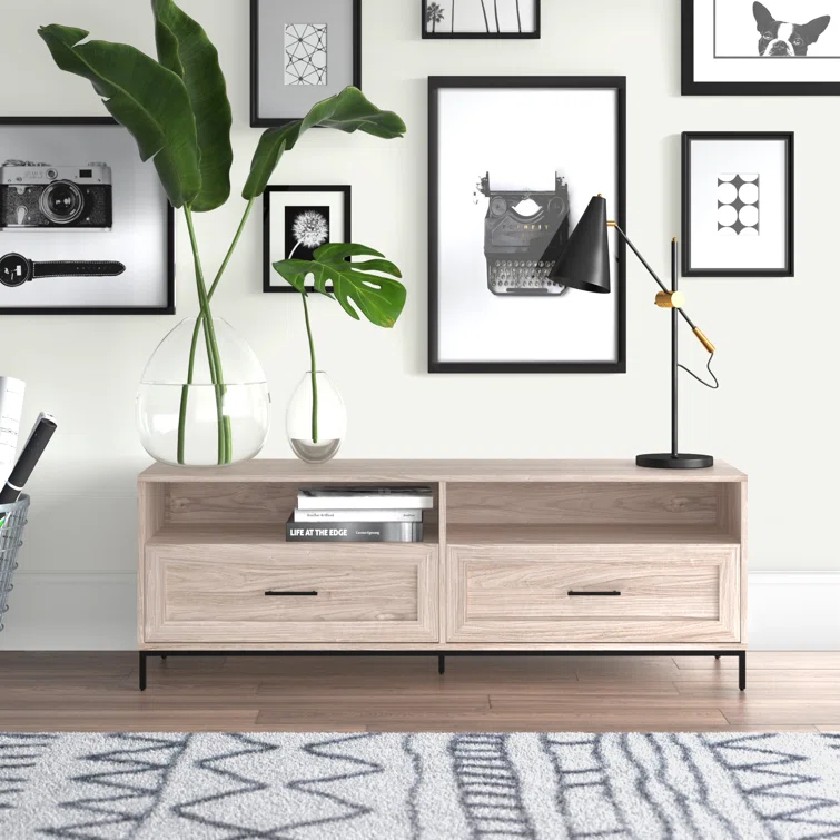 Braxten 58" 2-Drawer TV Stand for TVs up to 60"