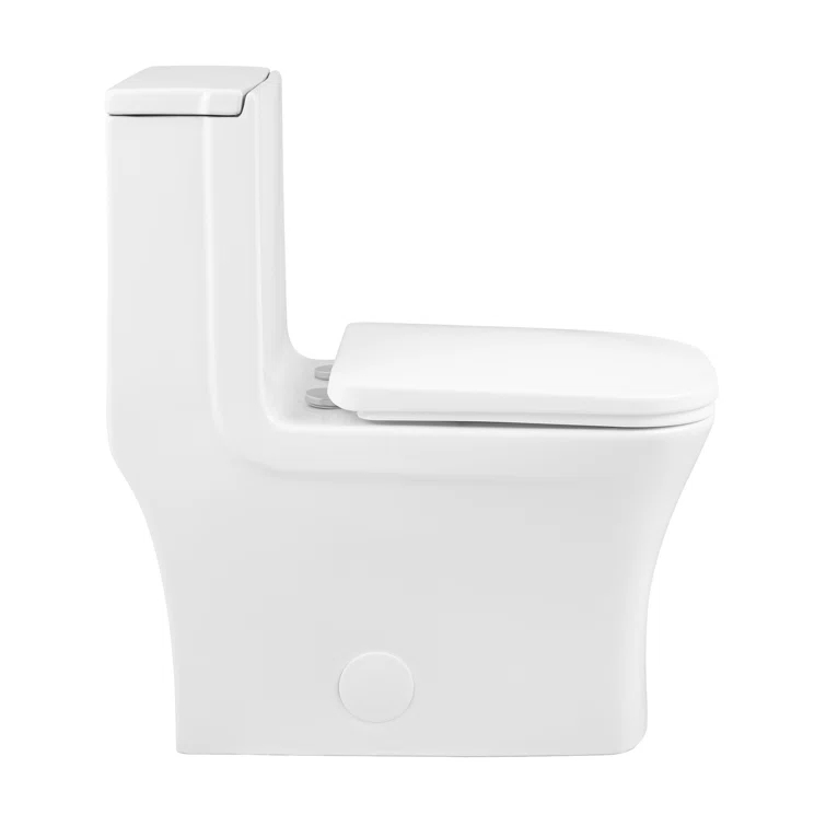Concorde One-Piece Square Toilet Dual-Flush 1.1/1.6 gpf