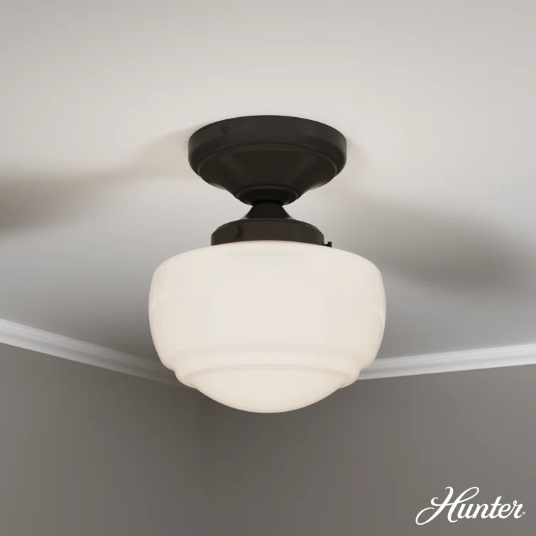 Hunter Saddle Creek 1 Light Mini Flush Mount Ceiling Light Fixture