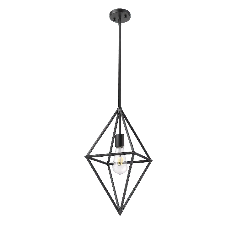 1 - Light Unique/Statement Pendant