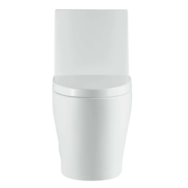 Dual-Flush Elongated One-Piece Toilet with High Efficiency Flush